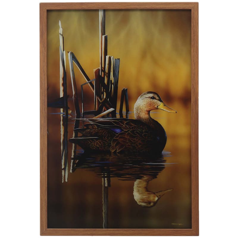 Open Road Brands Duck on Water Framed Acrylic Wall Art