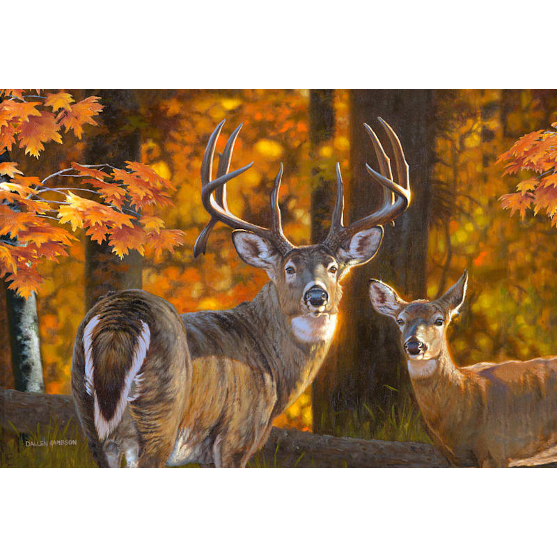 Rocky Mountain Publishing Prestige Wrapped Canvas Giclée Wall Art