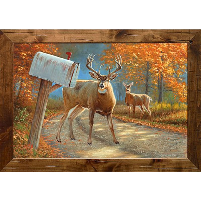 Rocky Mountain Publishing Deer John Canvas Giclee by Dallen Lambson