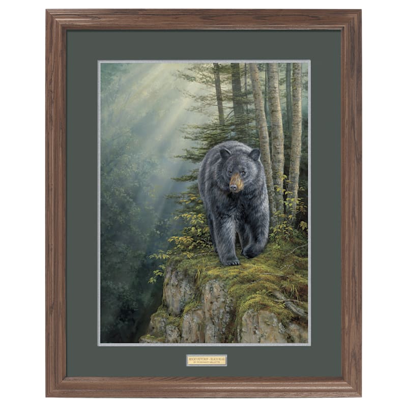Wild Wings Rocky Outcrop Black Bear Framed Art Print by Rosemary Millette