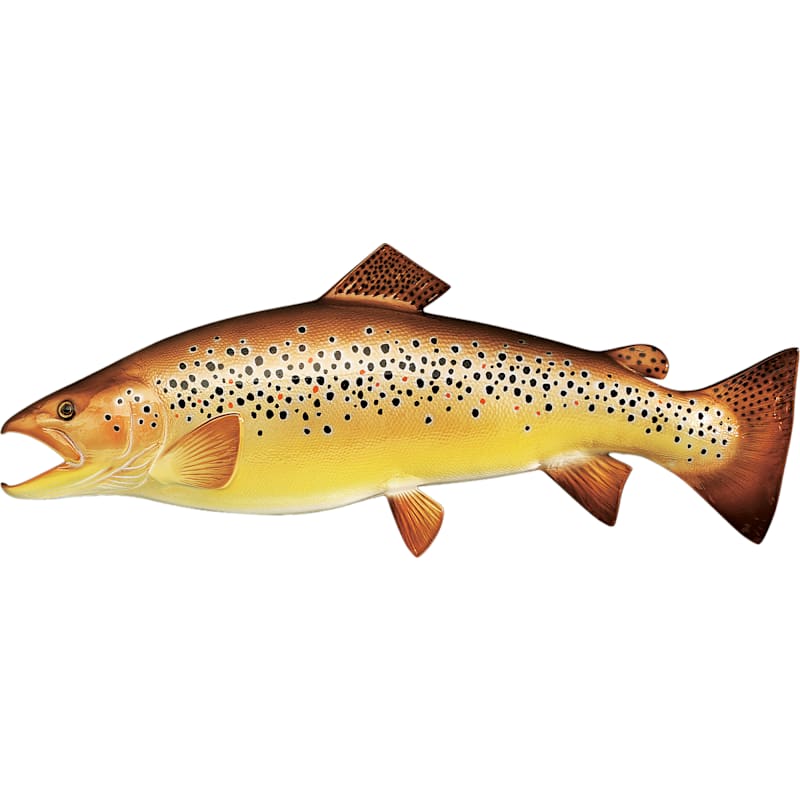 Cabela's Freshwater Fish Mount Replica Brown Trout