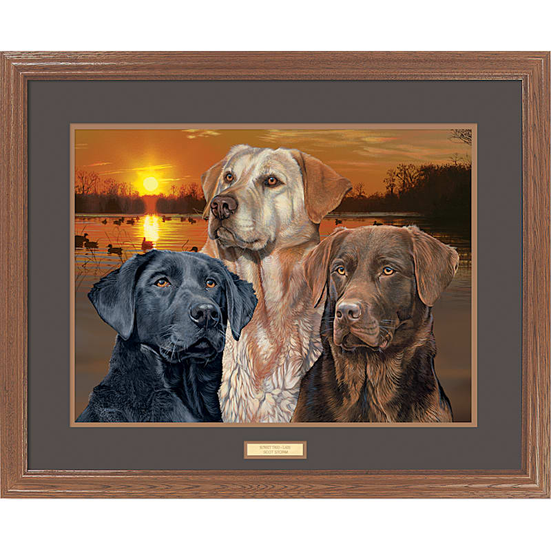 Wild Wings Sunset Trio Labs Framed Print by Scot Storm