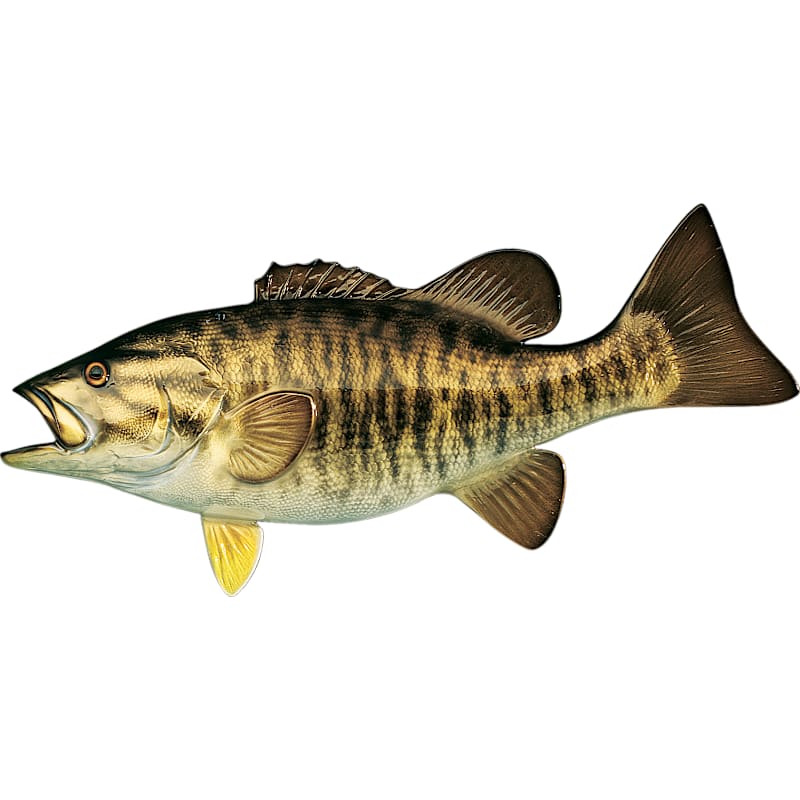 Cabela's Freshwater Fish Mount Replica Smallmouth Bass