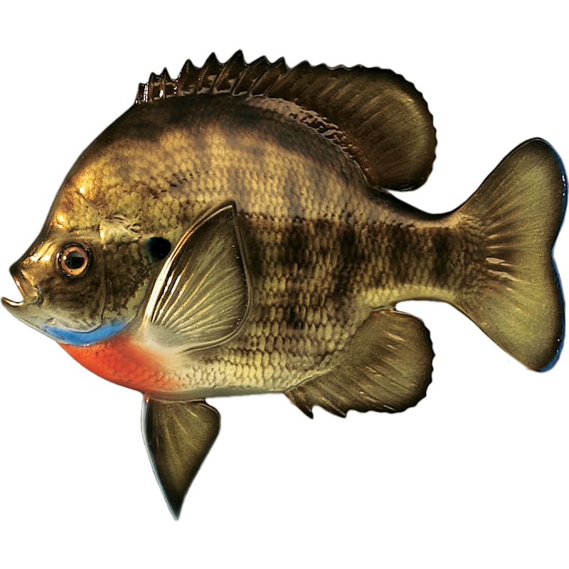 Cabela's Freshwater Fish Mount Replica Bluegill