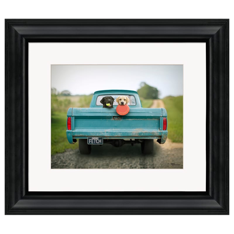Wild Wings Fetch Framed Photo Print by Ron Schmidt