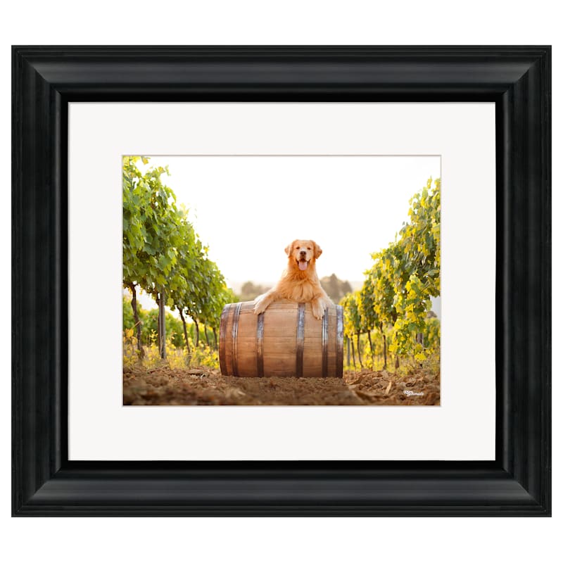 Wild Wings Red Golden Retriever Framed Photo Print by Ron Schmidt