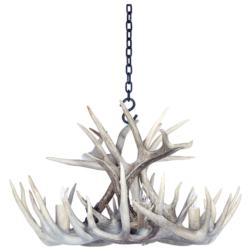 Antlerworx Whitetail Antler 4-Light Chandelier