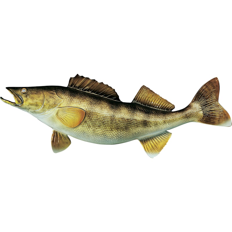 Cabela's Freshwater Fish Mount Replica Walleye