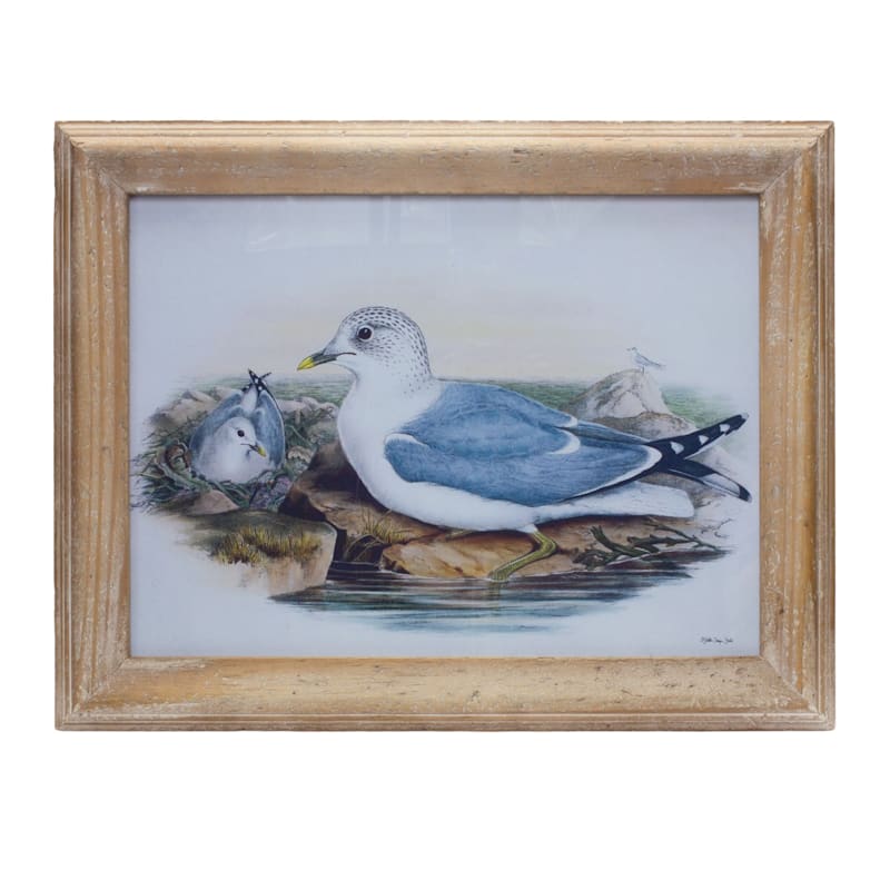 Melrose International Framed Bird Watercolor Artwork Print with Glass