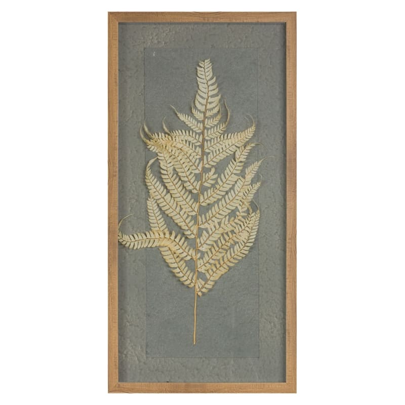 Melrose International Framed Dried-Fern Wall Art Set of 2