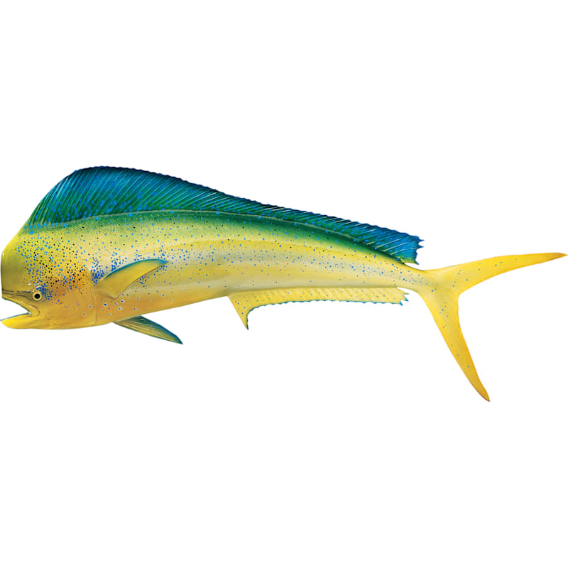 Cabela's Fish Mount Saltwater Replica Dolphin/Dorado