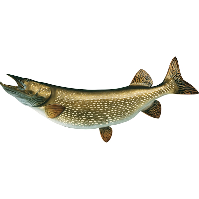 Cabela's Freshwater Fish Mount Replica Northern Pike