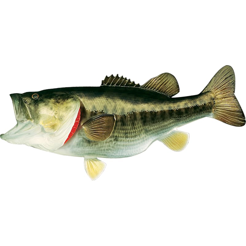 Cabela's Freshwater Fish Mount Replica Largemouth Bass
