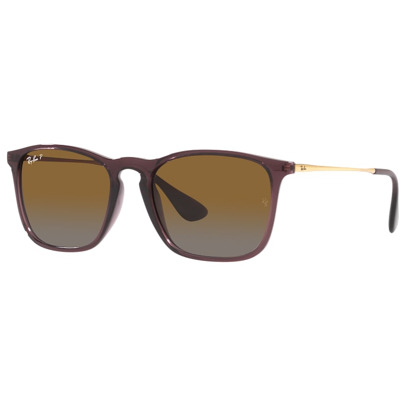 Ray-Ban Chris RB4187 Gradient Polarized Sunglasses