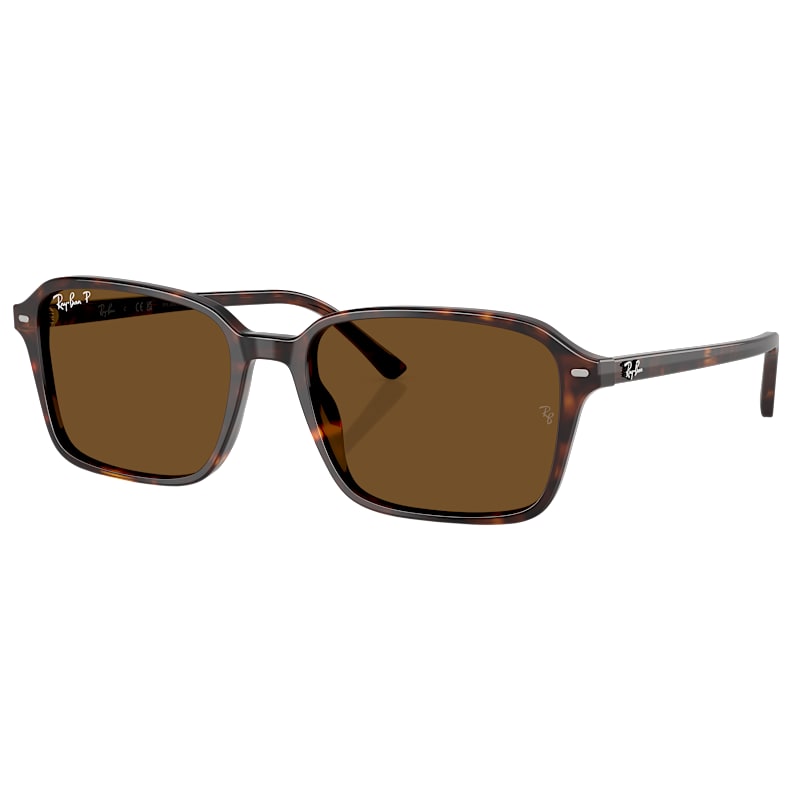 Ray-Ban Raimond RB2231 Glass Polarized Sunglasses