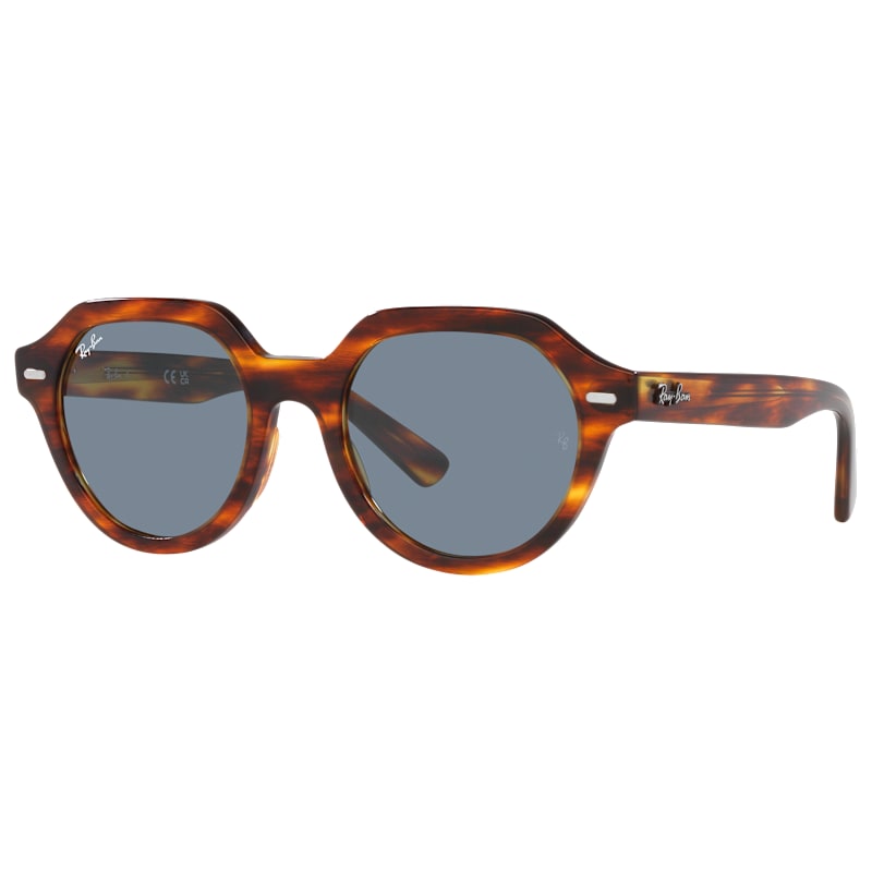 Ray-Ban Gina RB4399 Glass Sunglasses