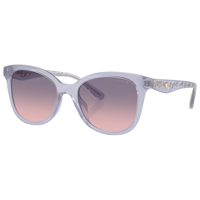COACH HC8419U Sunglasses for Ladies