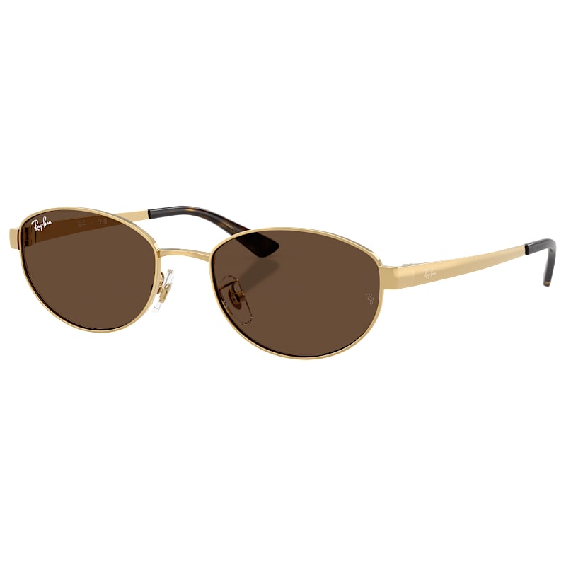 Ray-Ban RB3774D Sunglasses