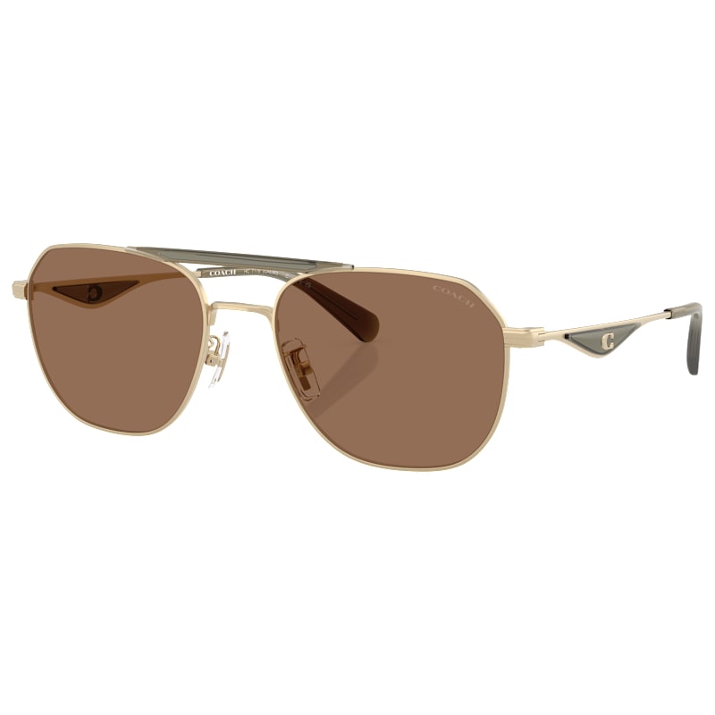 COACH HC7178 Sunglasses for Ladies