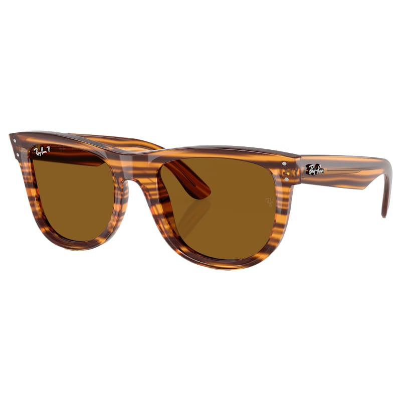Ray-Ban Wayfarer Reverse RBR0502S Sunglasses