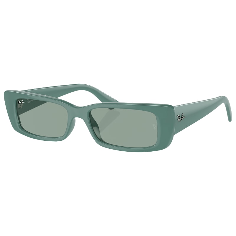 Ray-Ban Teru Bio-Based RB4425 Sunglasses