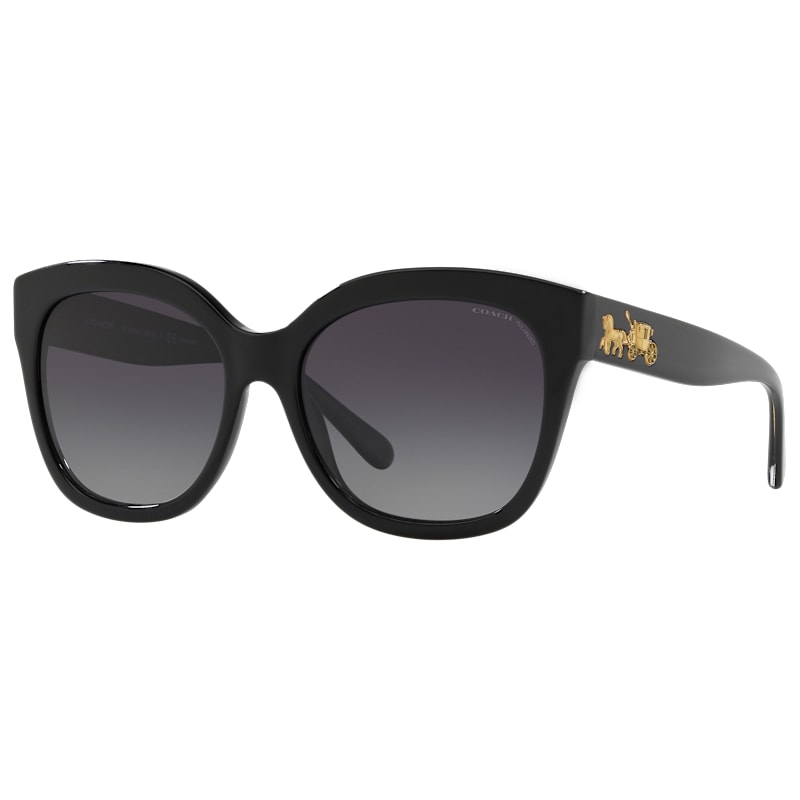 COACH HC8264 Polarized Sunglasses for Ladies