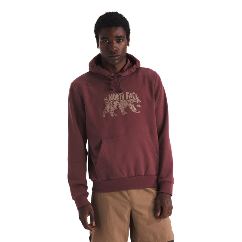 The North Face Evolution Bear Graphic Hoodie