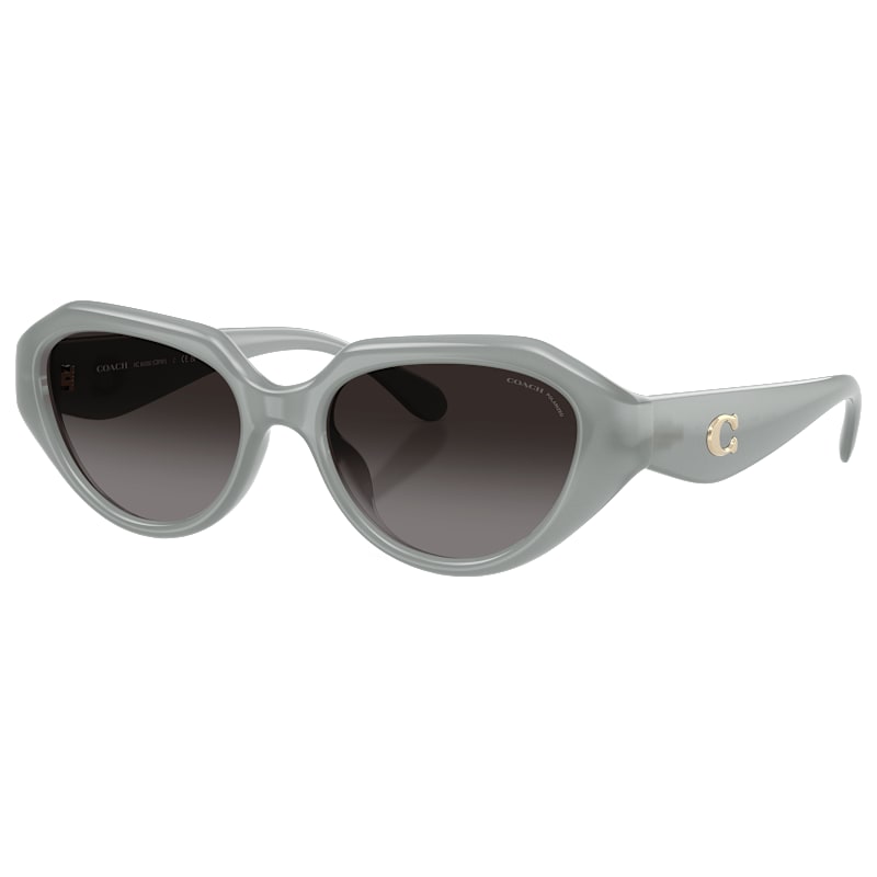 COACH HC8433U Polarized Sunglasses for Ladies
