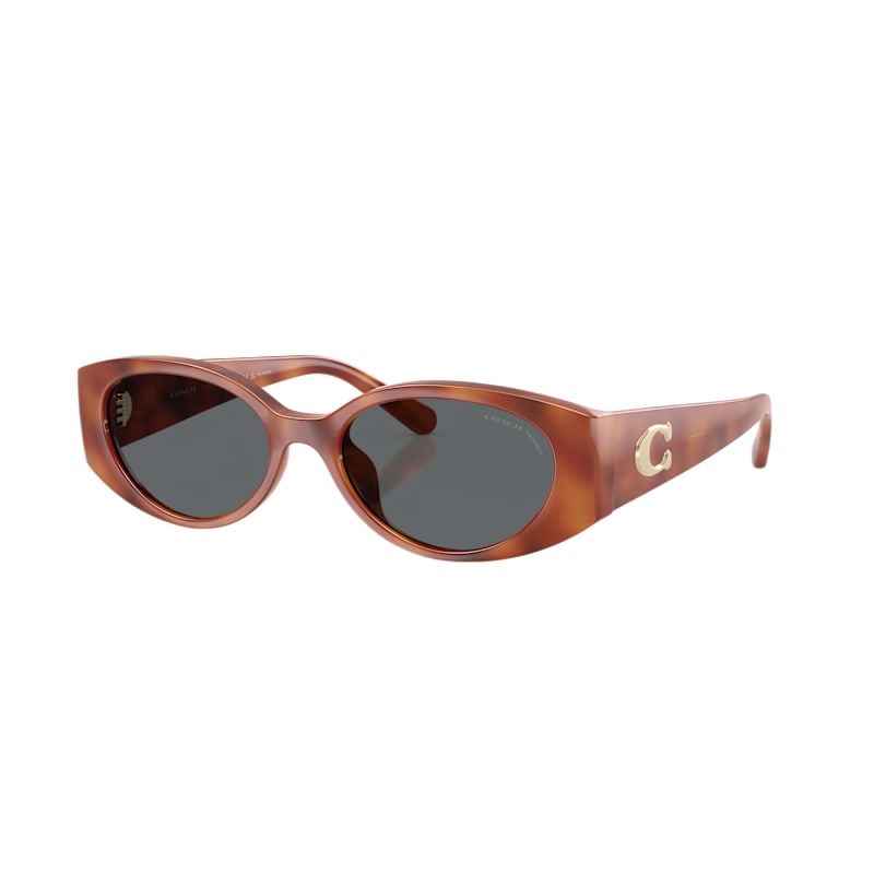 Coach CFu06 HC8462U Polarized Sunglasses