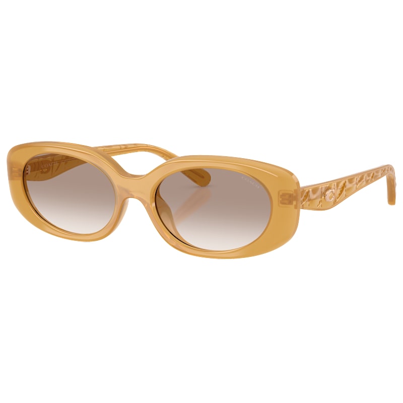 COACH HC8443D Sunglasses for Ladies