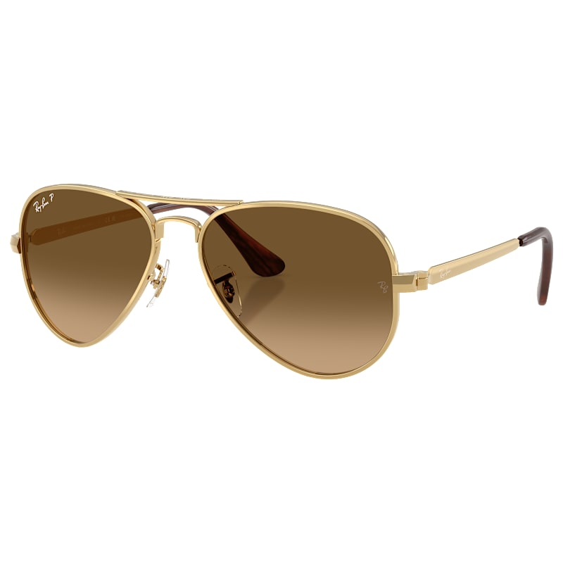 Ray-Ban Aviator Max RB3925 Gradient Glass Polarized Sunglasses