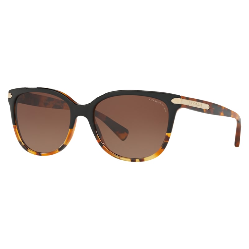 COACH HC8132 Polarized Gradient Sunglasses for Ladies