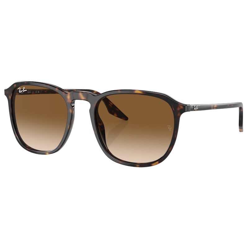 Ray-Ban RB2203 Gradient Glass Sunglasses