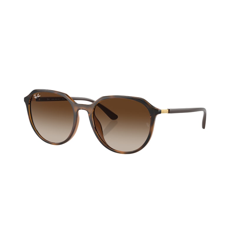Ray-Ban RB4415L Classic Sunglasses