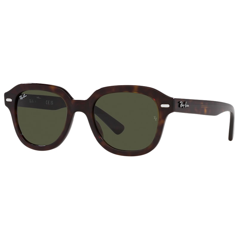 Ray-Ban Erik RB4398 Glass Sunglasses