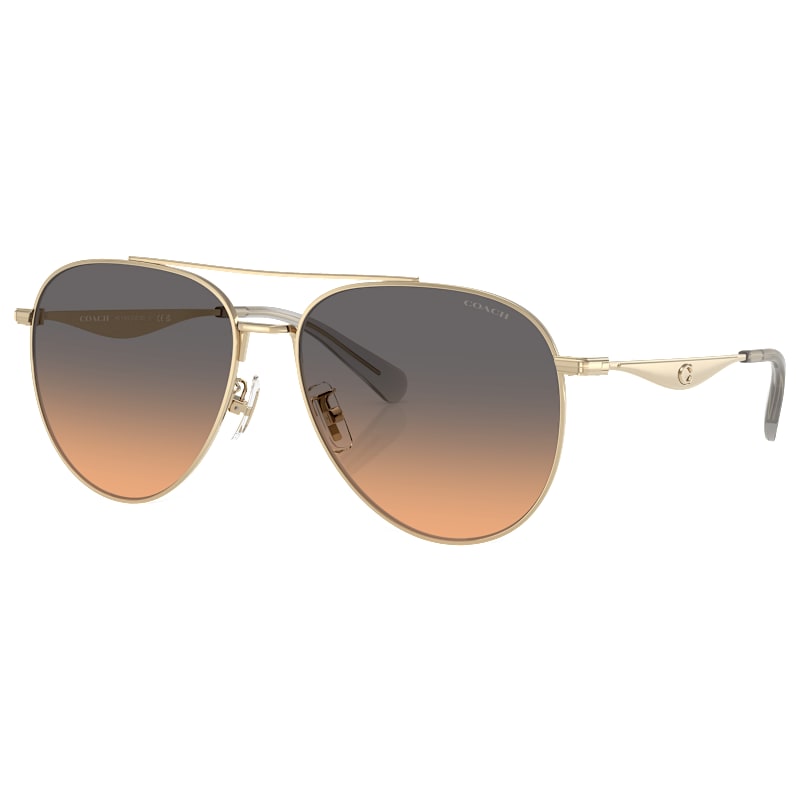 COACH HC7169 Polarized Sunglasses for Ladies