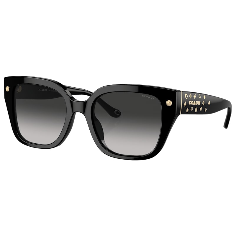 COACH HC8392U Sunglasses for Ladies