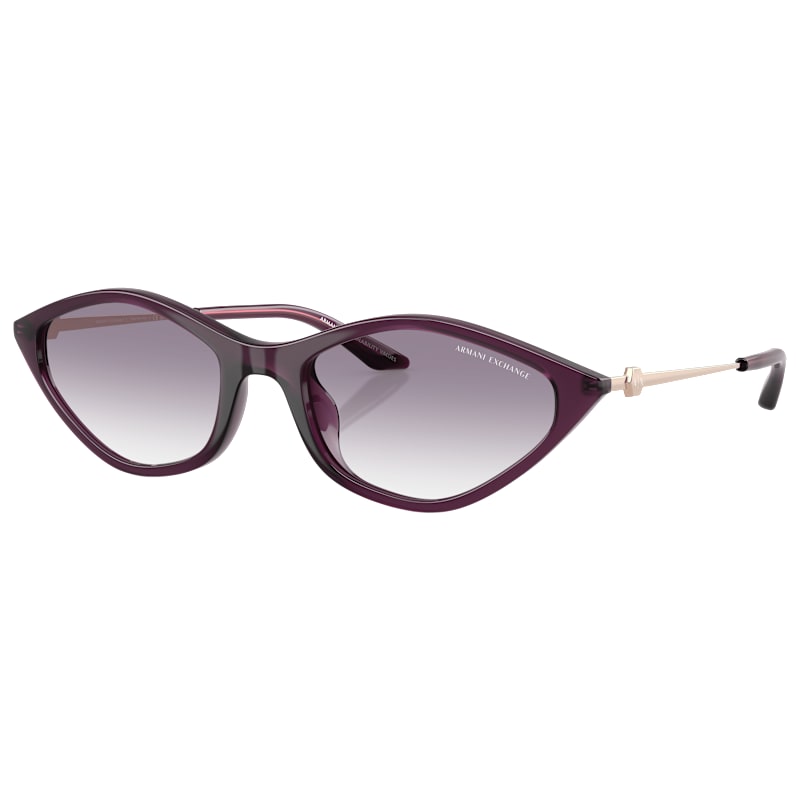 Armani Exchange AX4152SU Sunglasses for Ladies