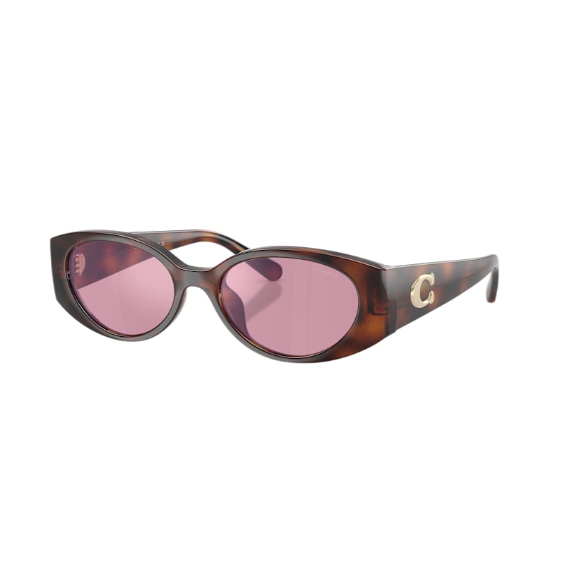 Coach CFu06 HC8462U Mirror Sunglasses