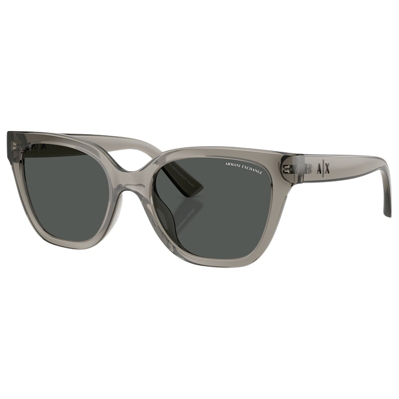 Armani Exchange AX4164SU Sunglasses for Ladies