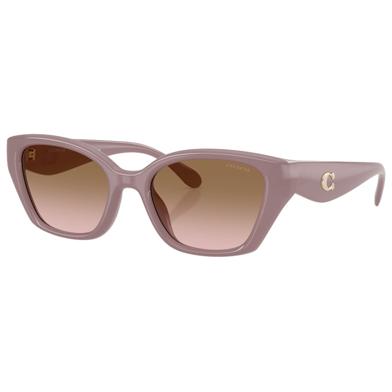 COACH HC8434U Sunglasses for Ladies
