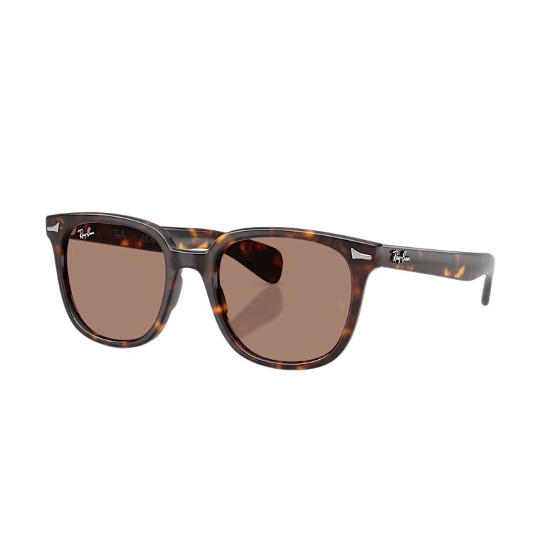 Ray-Ban Brunel II RB2235 Classic Sunglasses