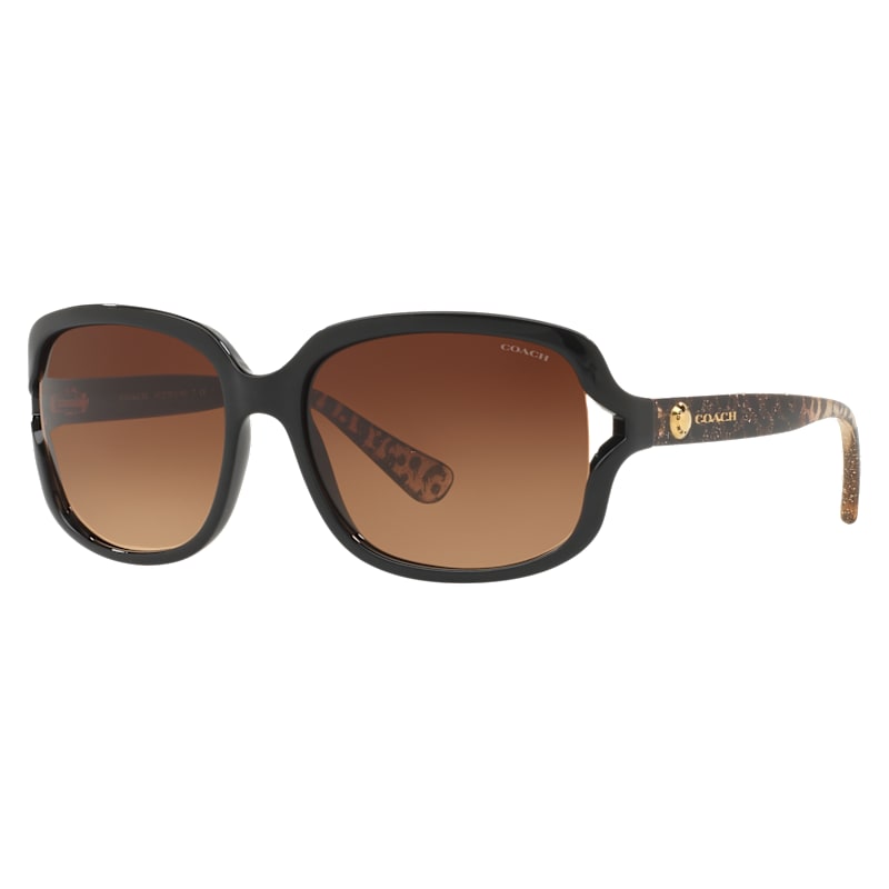 COACH HC8169 Sunglasses for Ladies
