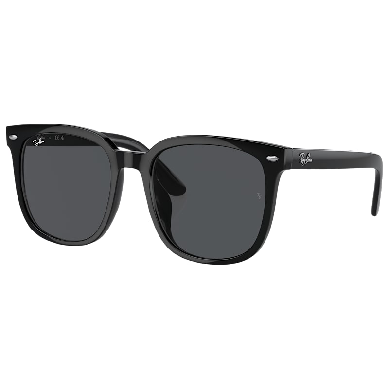 Ray-Ban Low Bridge Fit RB4401D Sunglasses