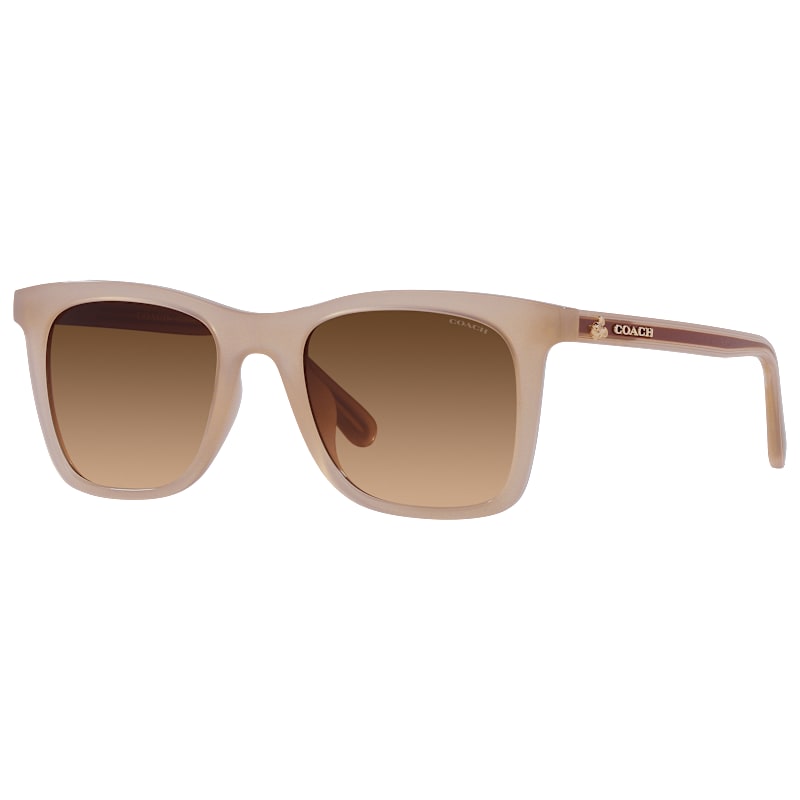 COACH HC8374U Disney X COACH Collection Sunglasses for Ladies