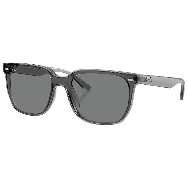 Ray-Ban RB4466D Sunglasses