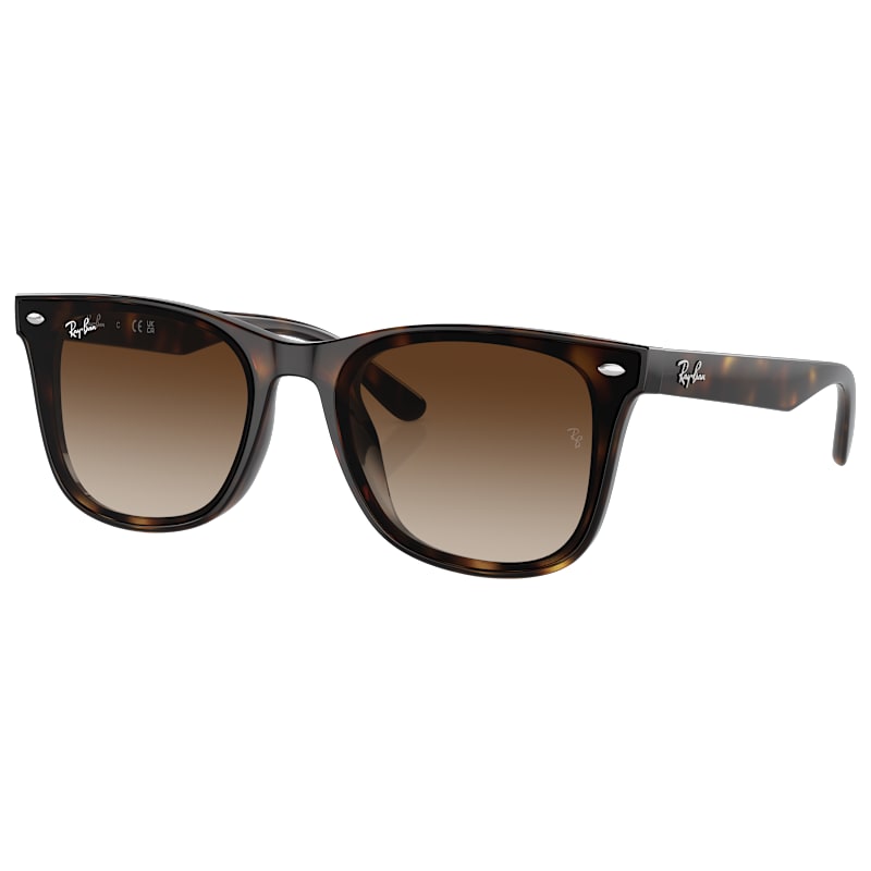 Ray-Ban RB4420 Gradient Sunglasses