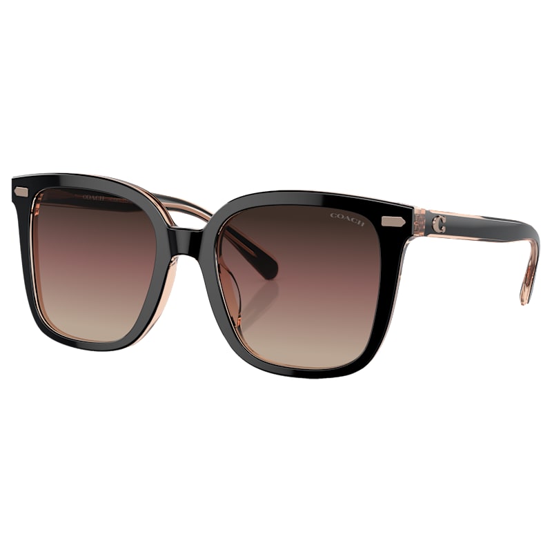 COACH HC8381U Sunglasses for Ladies
