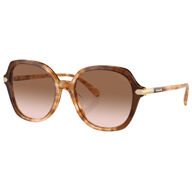 COACH HC8377U Sunglasses for Ladies