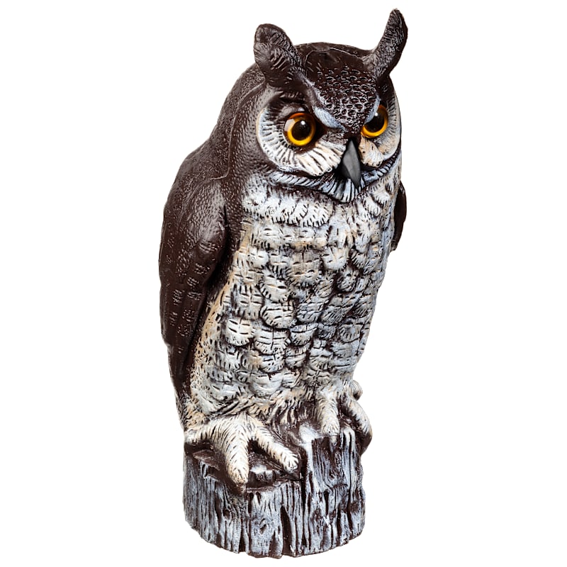 Dalen Great Horned Owl